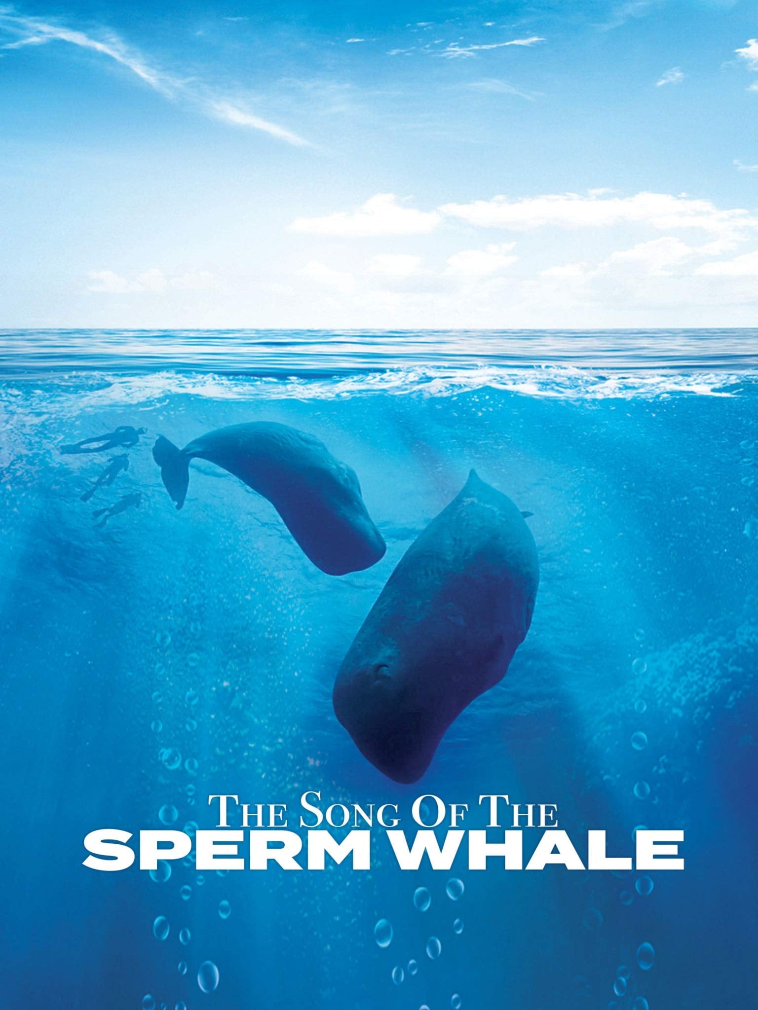 Song of the Sperm Whale