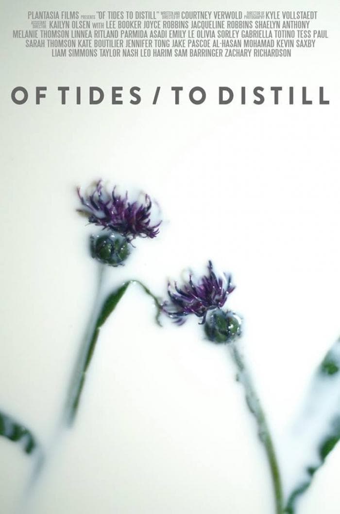 Of Tides/To Distill