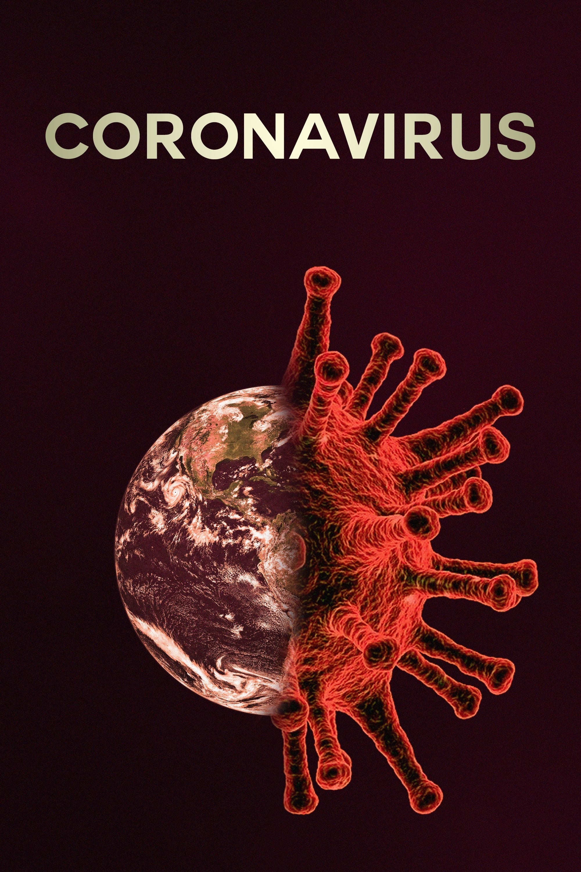 Coronavirus : enquête aux origines du désastre