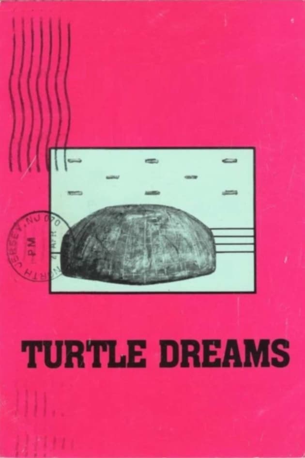 Turtle Dreams