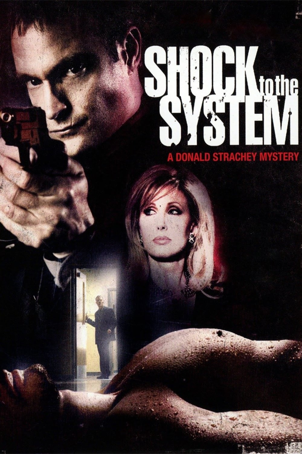 Os Mistérios Donald Strachey 2 - Choque no sistema (2006)