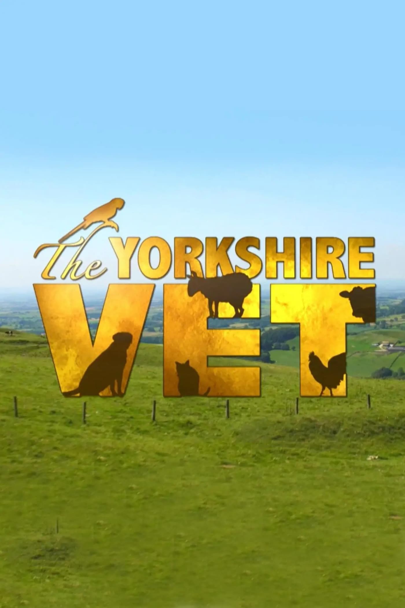The Yorkshire Vet (2015)