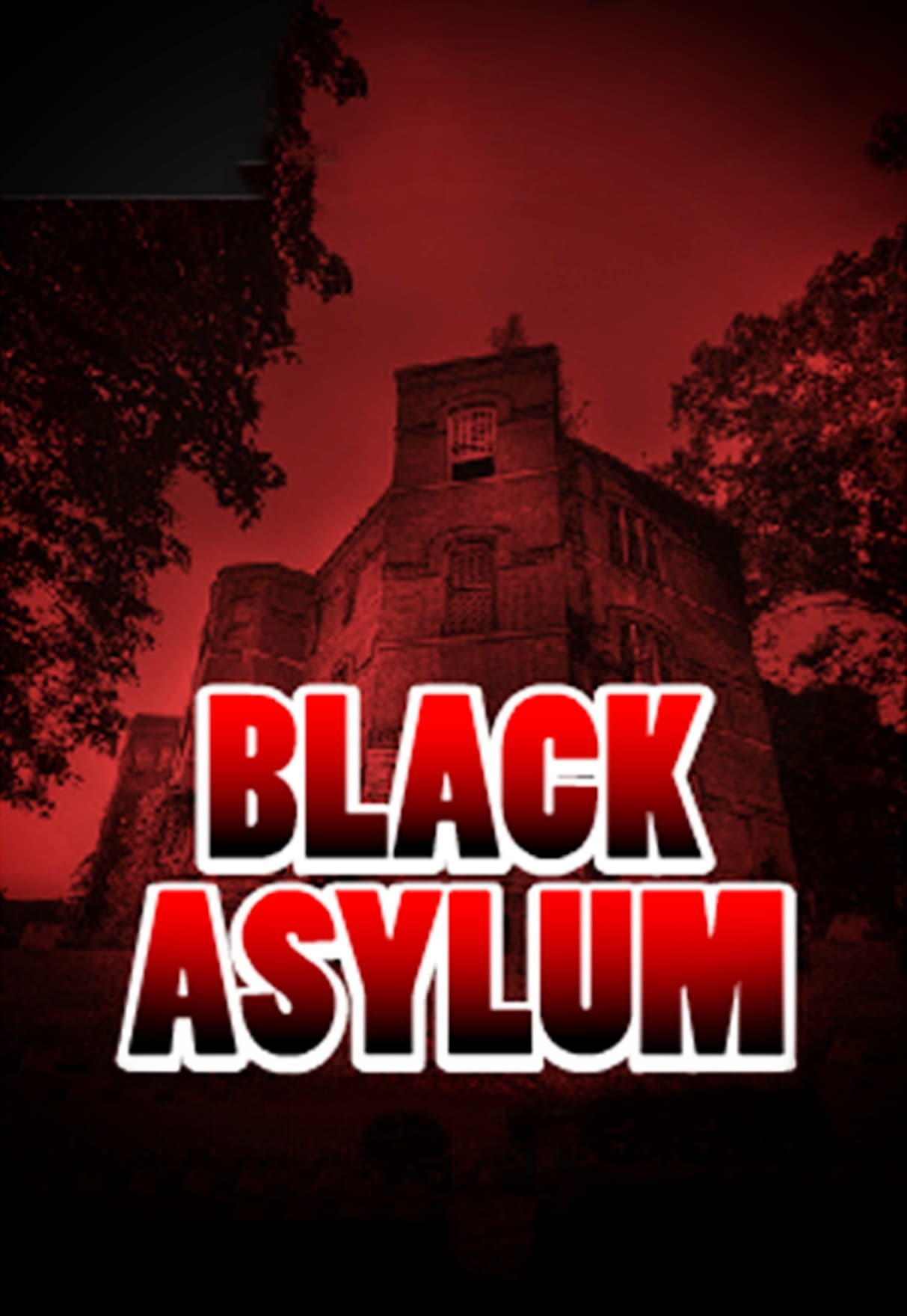 Black Asylum (2013)