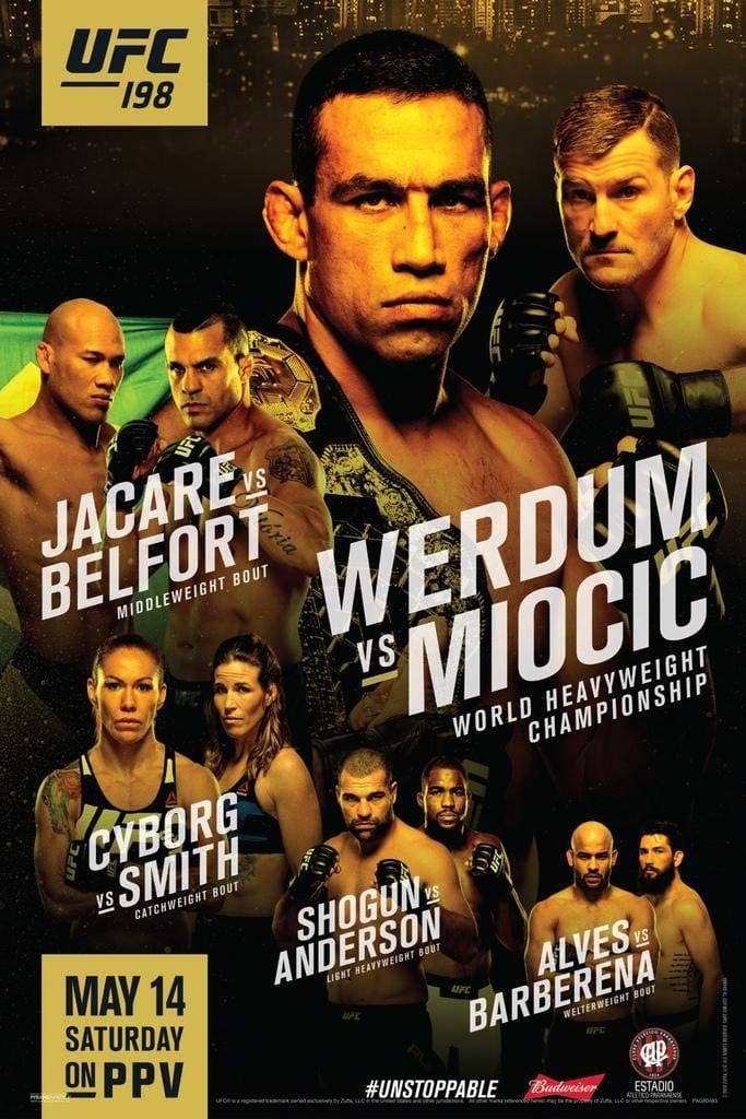 UFC 198: Werdum vs. Miocic (2016)