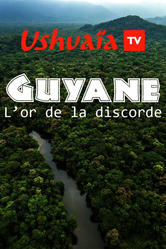 Guyane : L'or de la discorde