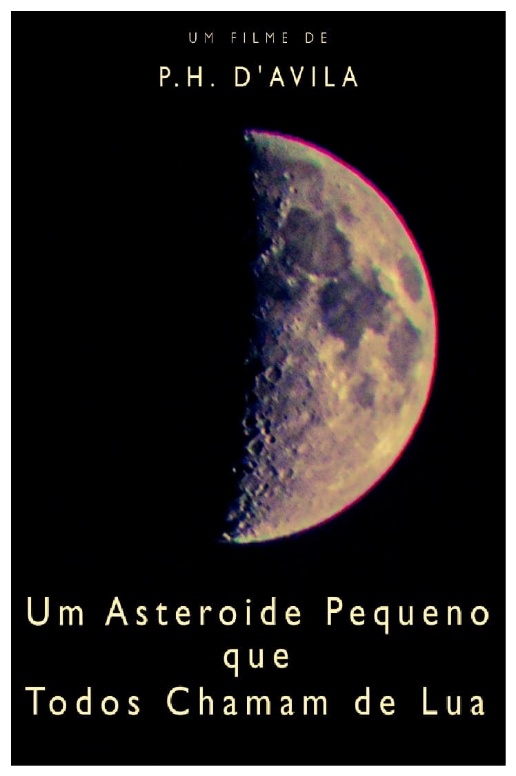 A Little Asteroid Called Moon