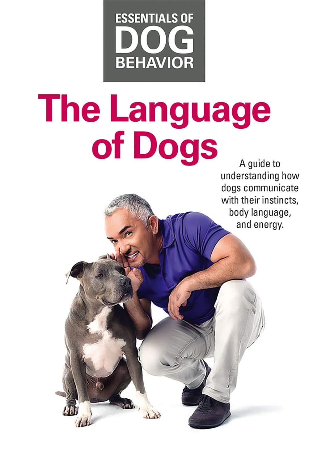 Essentials of Dog Behavior: The Language of Dogs