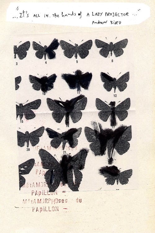 Métamorphoses du Papillon