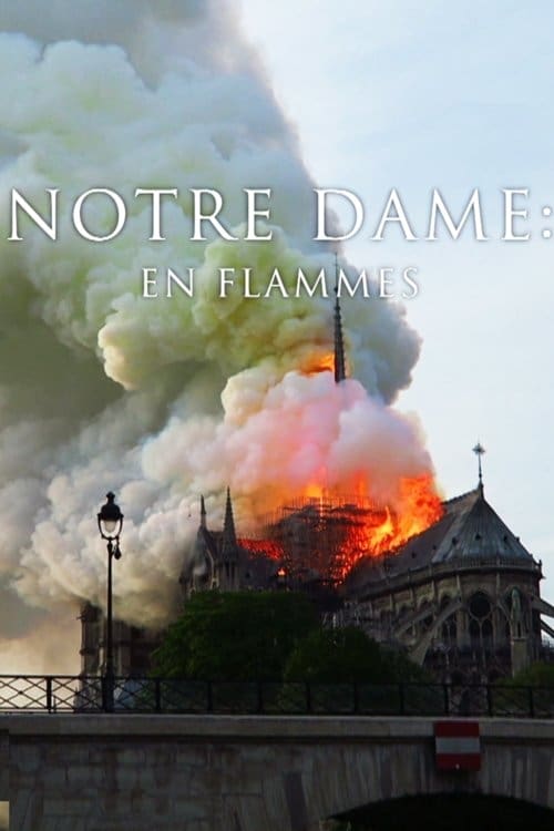 Pompiers de Paris : Sauver Notre-Dame