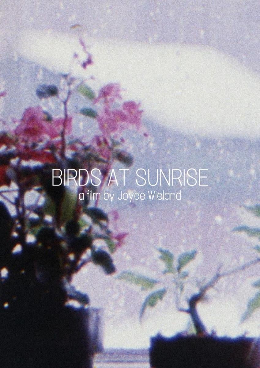 Birds at Sunrise