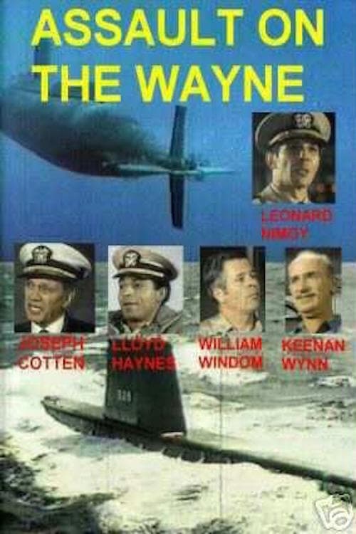 Assault on the Wayne