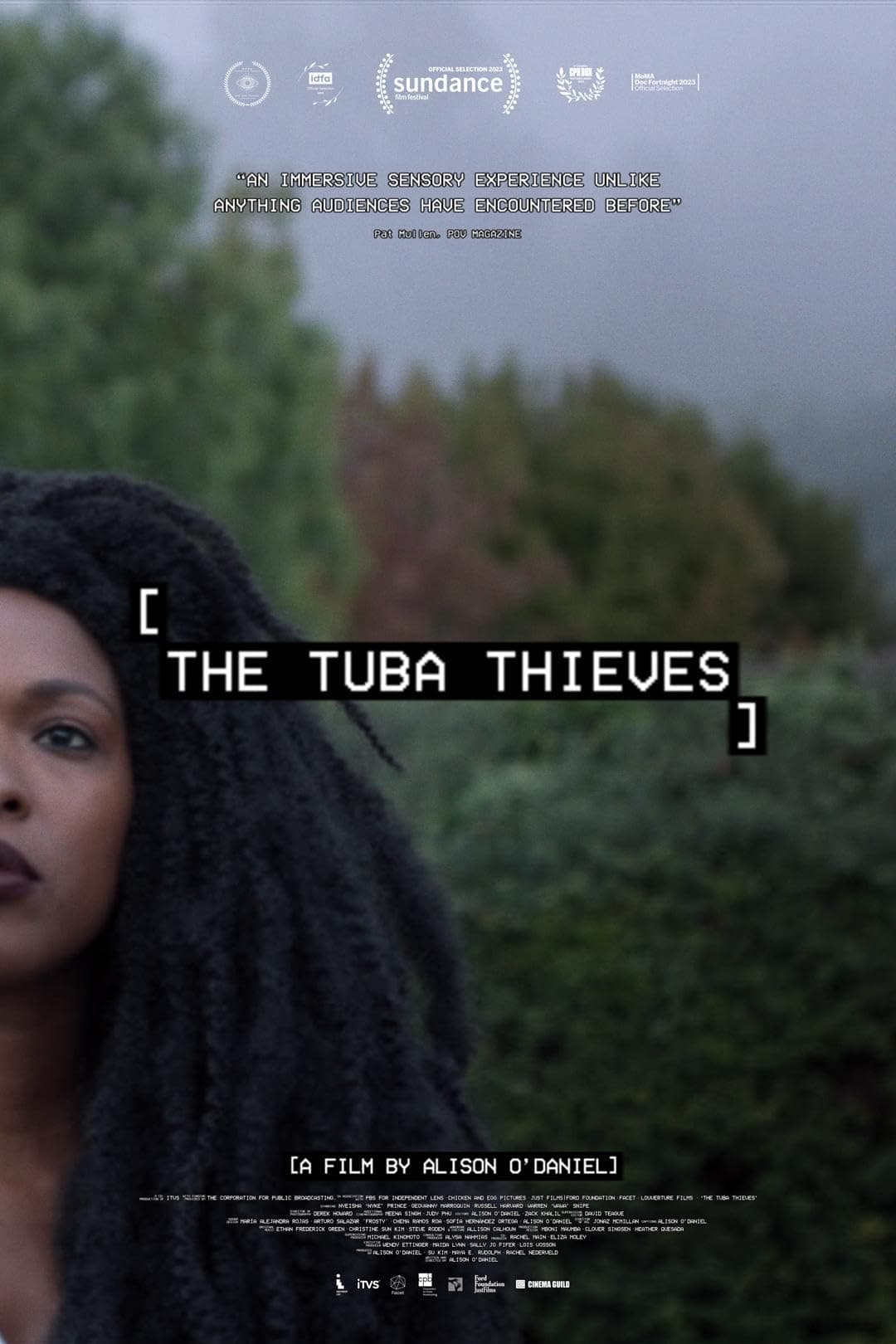 The Tuba Thieves