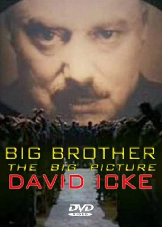 Big Brother: The Big Picture