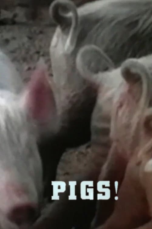 Pigs!