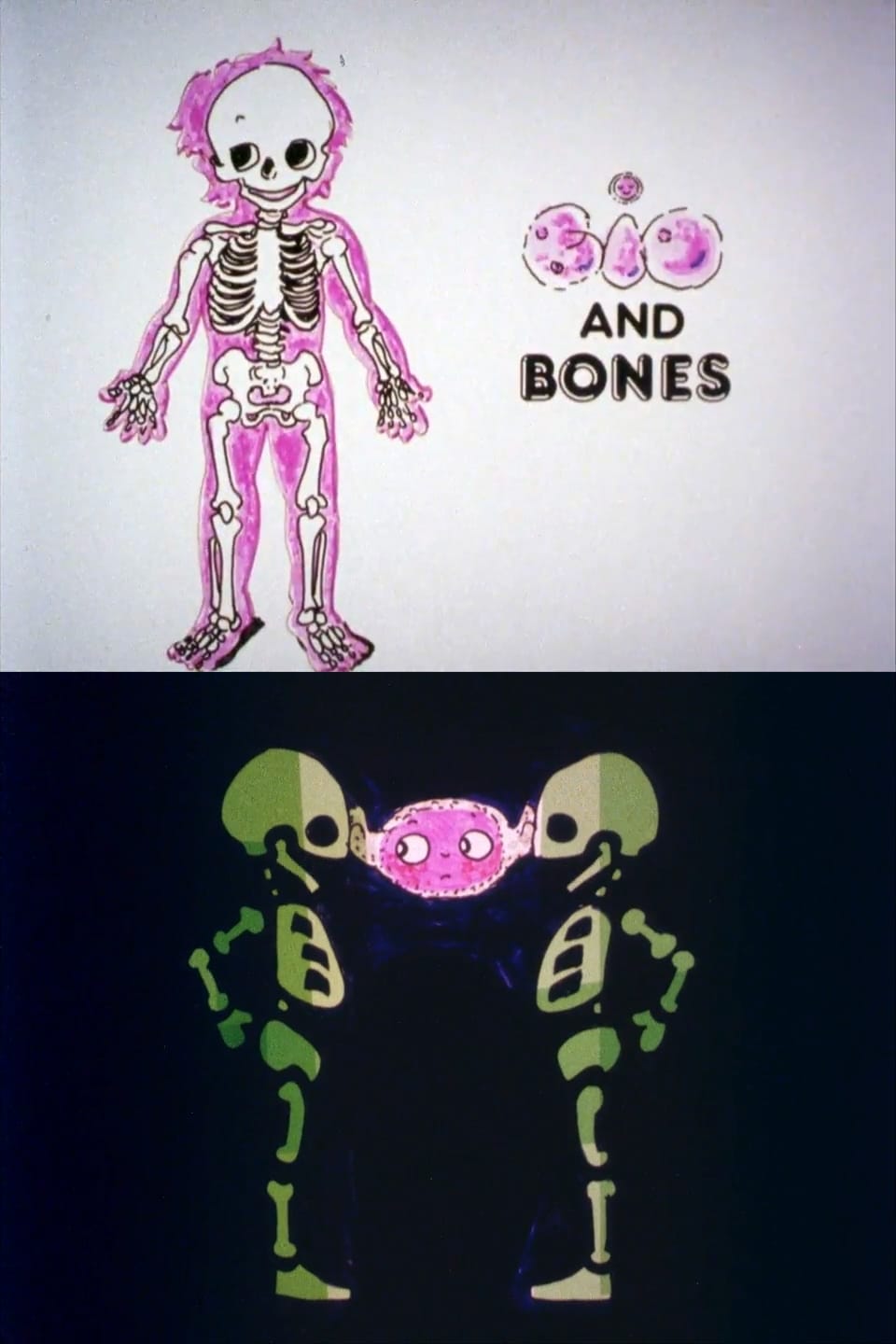 Bio and Bones