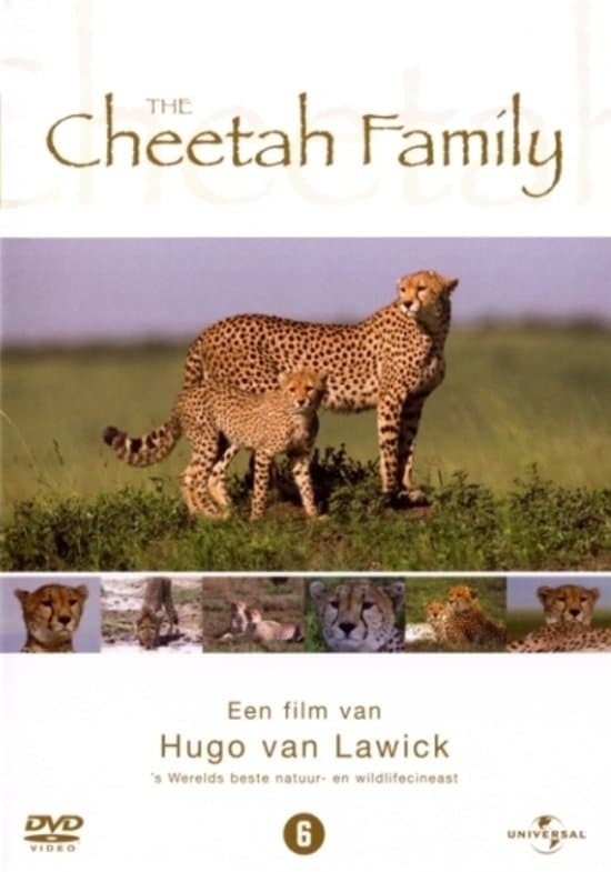 Cheetah Story