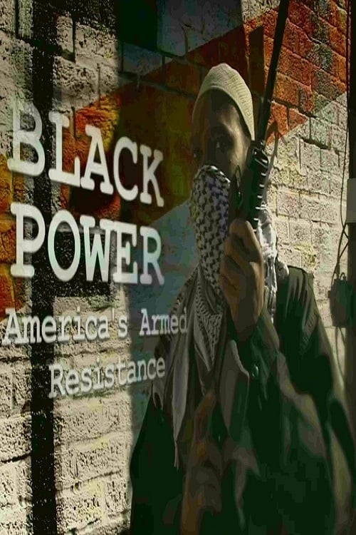 Black Power: America's Armed Resistance