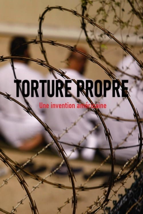 Clean Torture: An American Fabrication