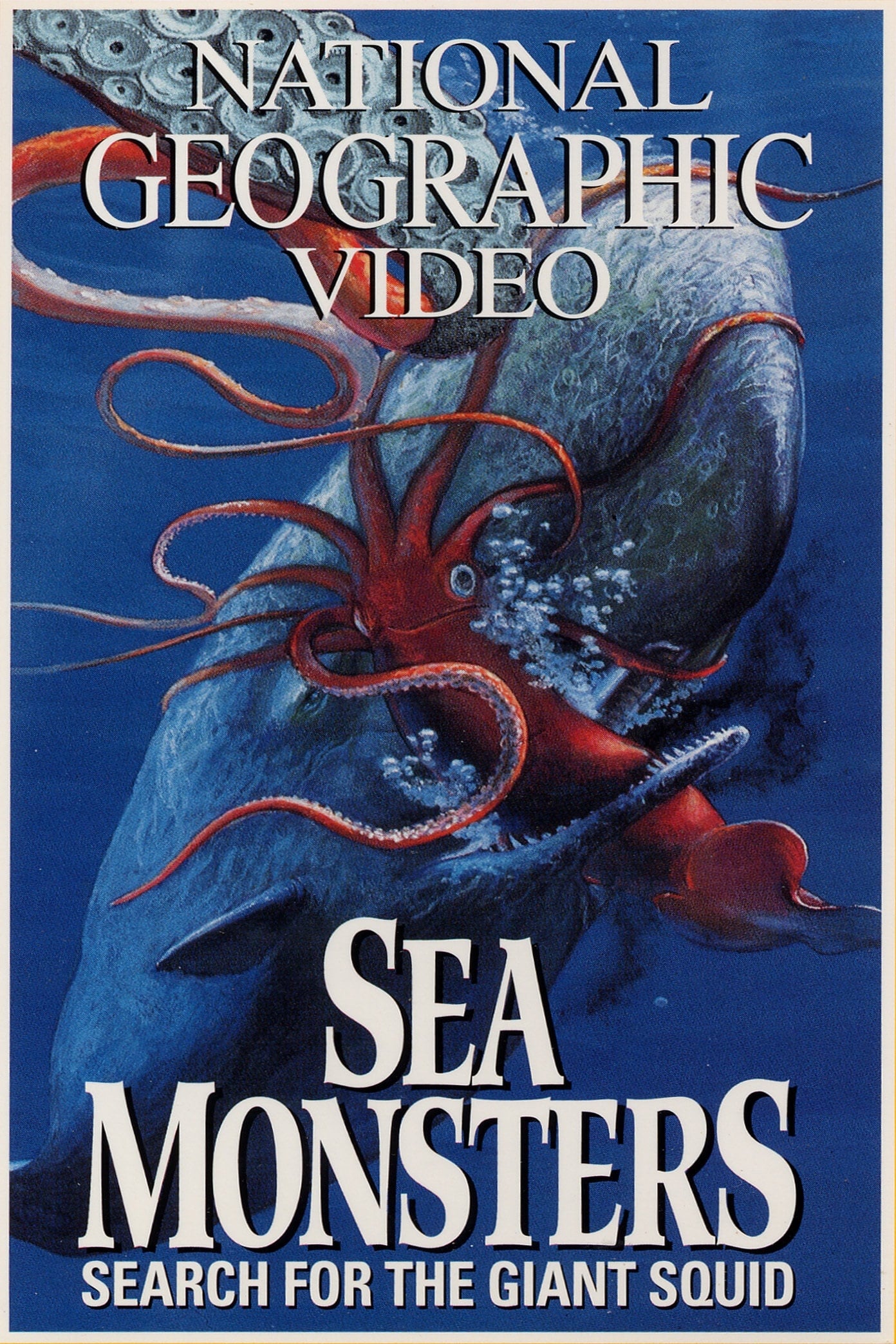 Sea Monsters: Search for the Giant Squid