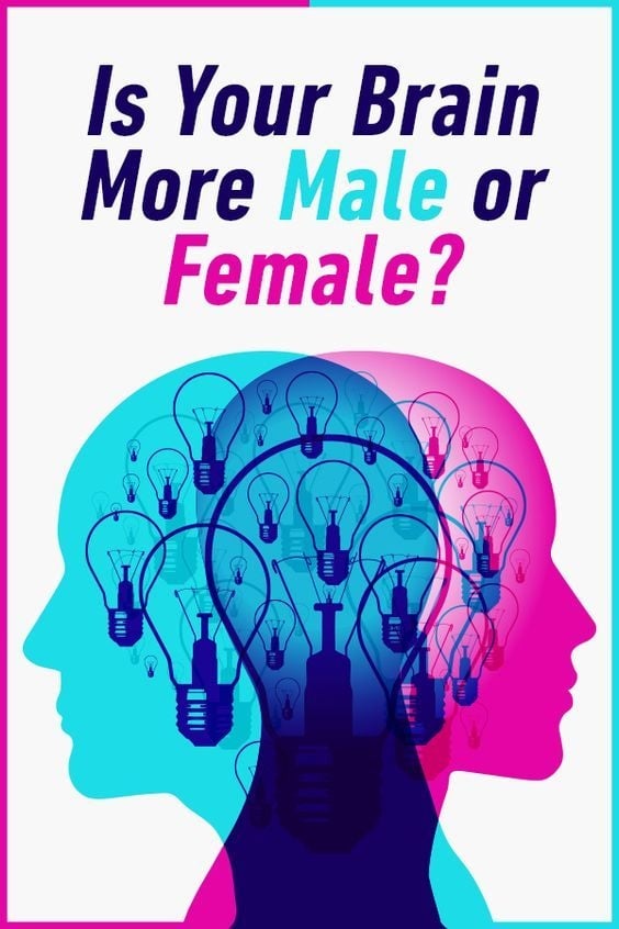 Is Your Brain Male or Female?