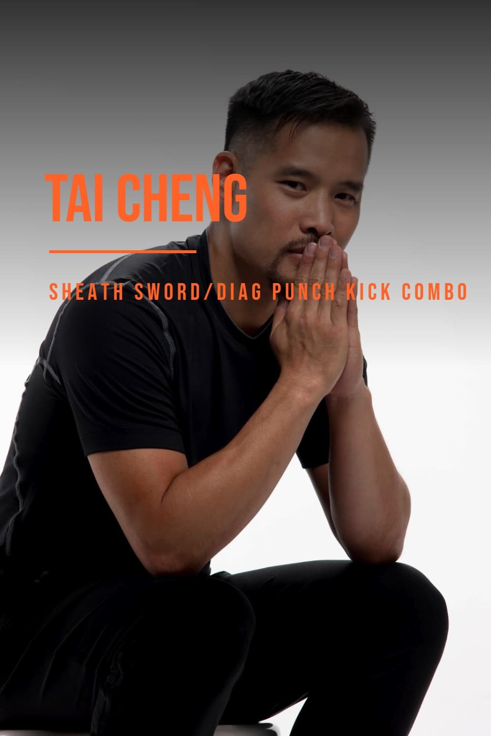 Tai Cheng - Sheathing Sword and Diagonal Punch Kick Combo