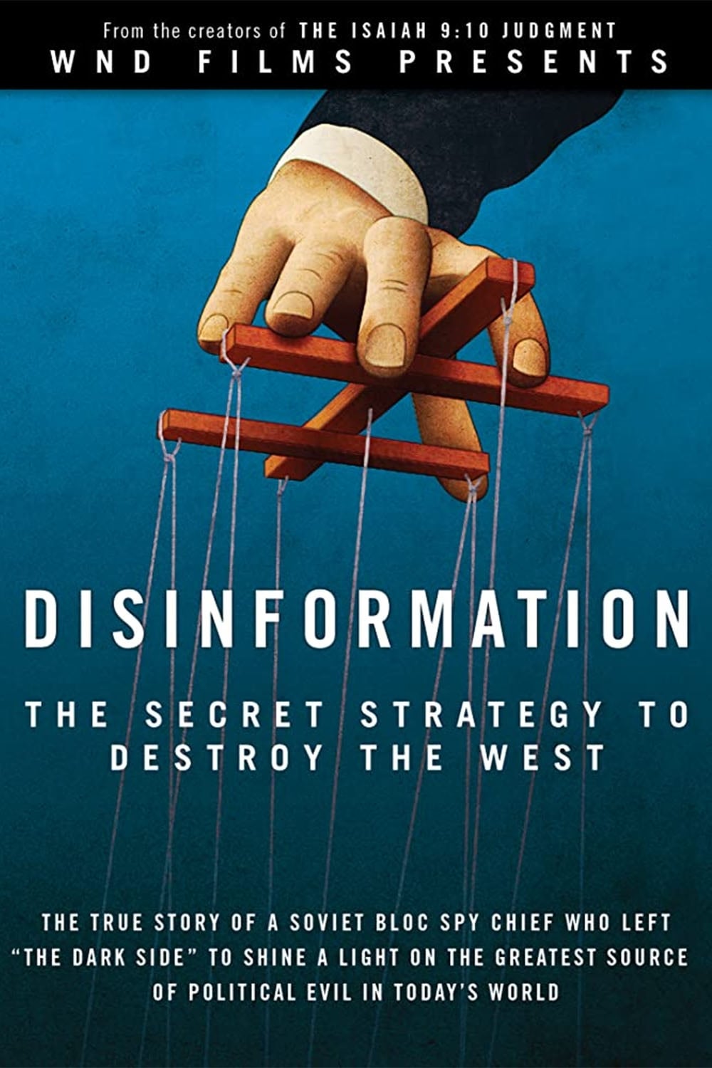 Disinformation (2013)