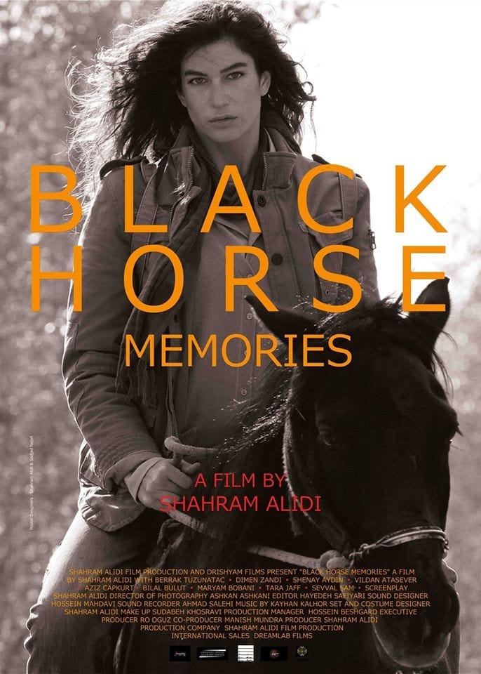 Black Horse Memories