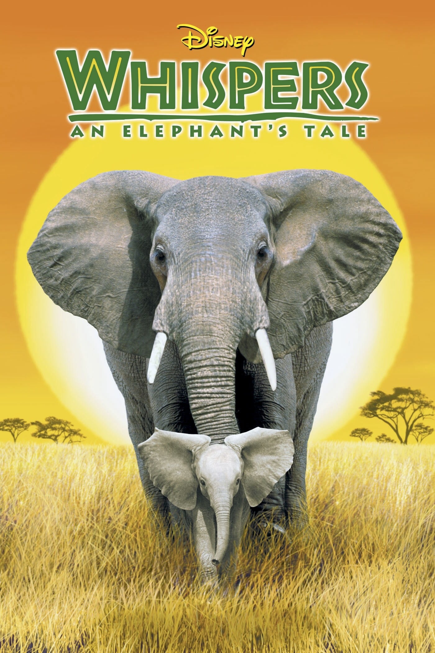 Whispers: Ein Elefantenmärchen