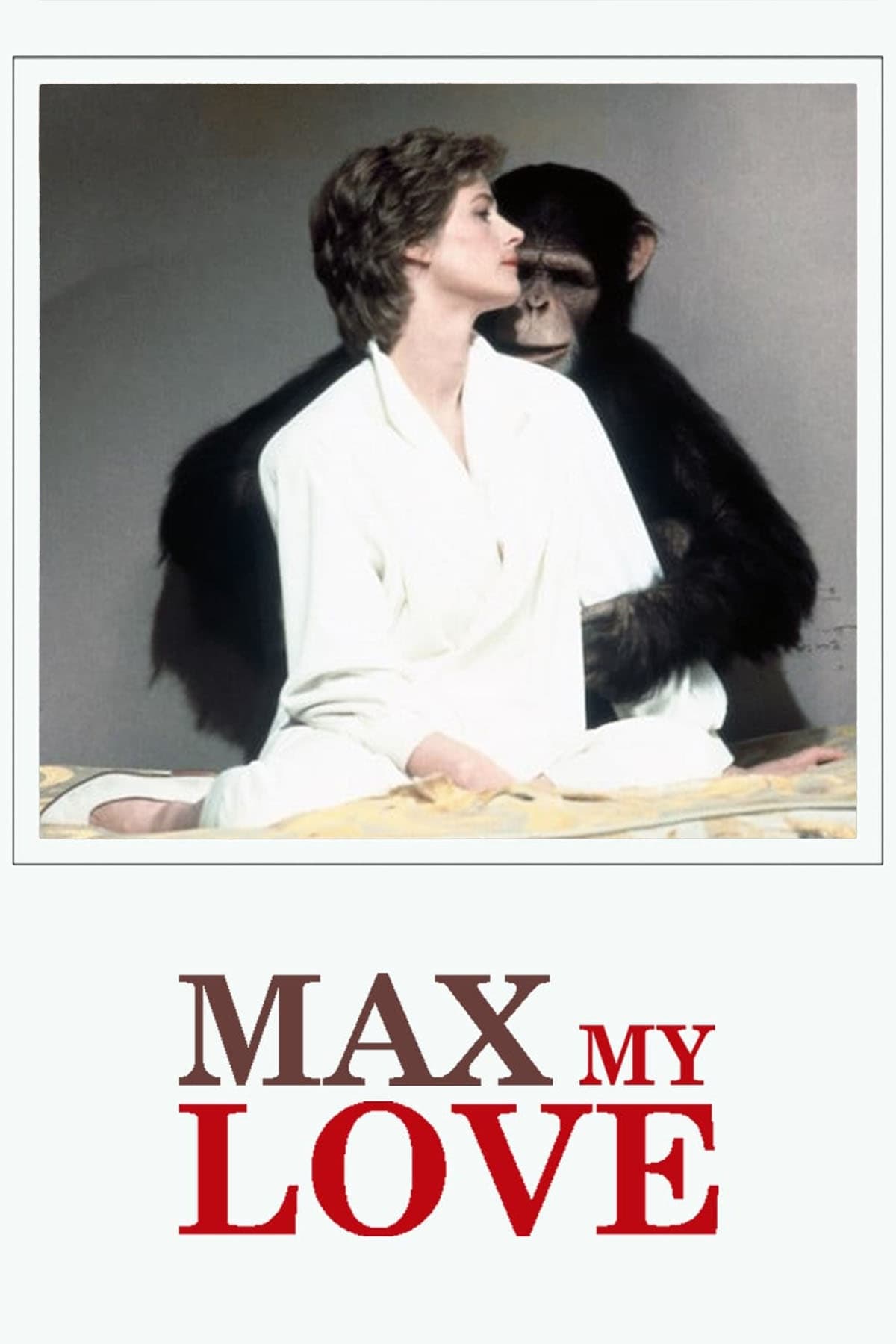 Max, Meu Amor