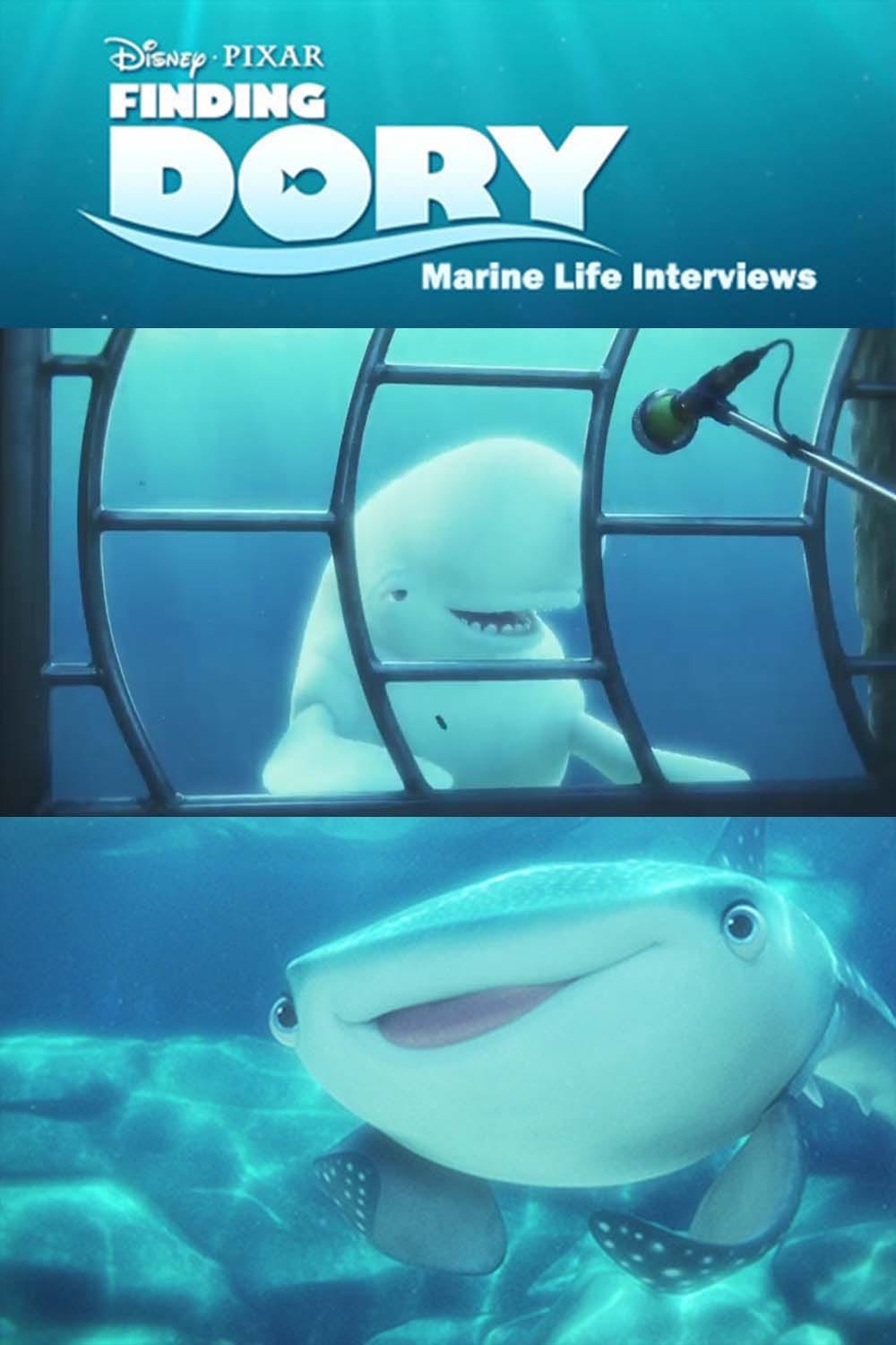 Interviews à l'Institut de Biologie Marine