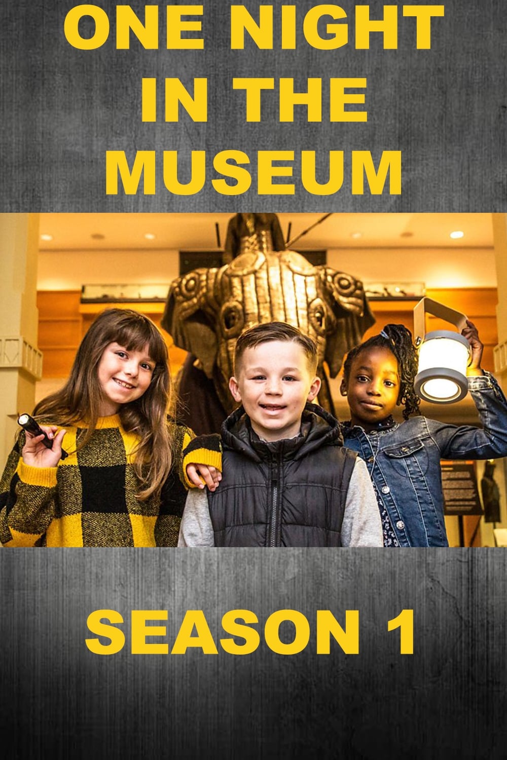 One Night in the Museum