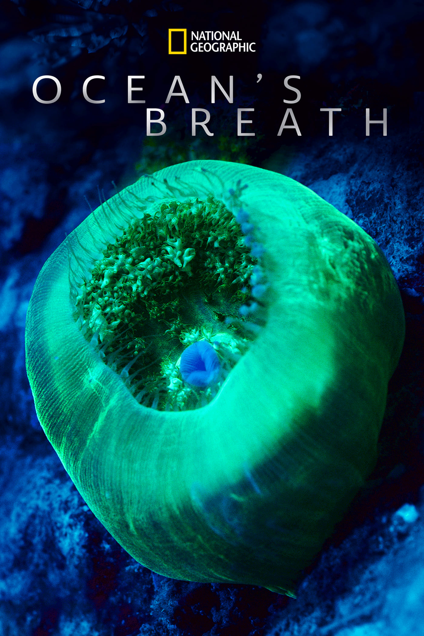 Ocean’s Breath