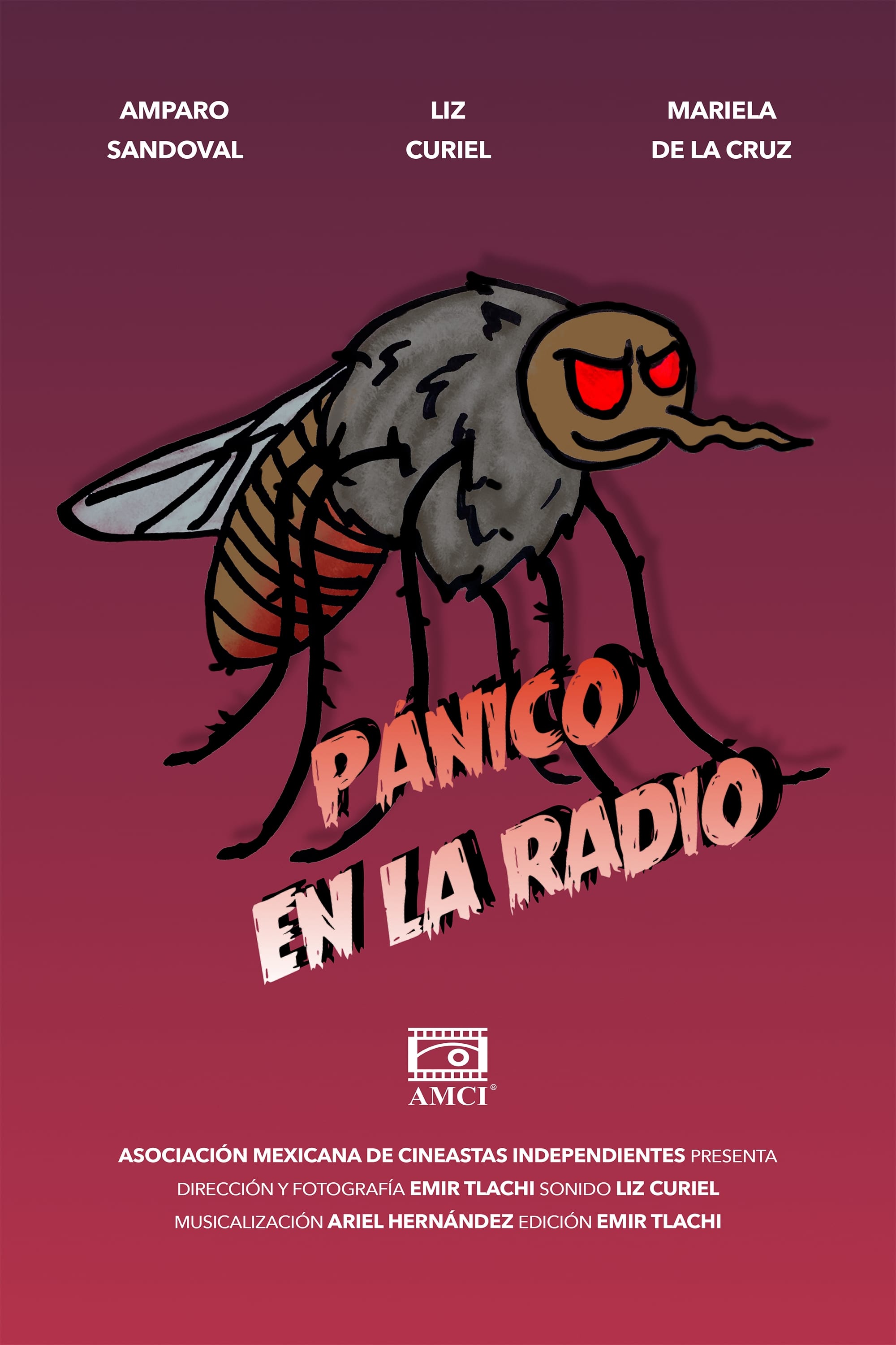 Panic in the Radio