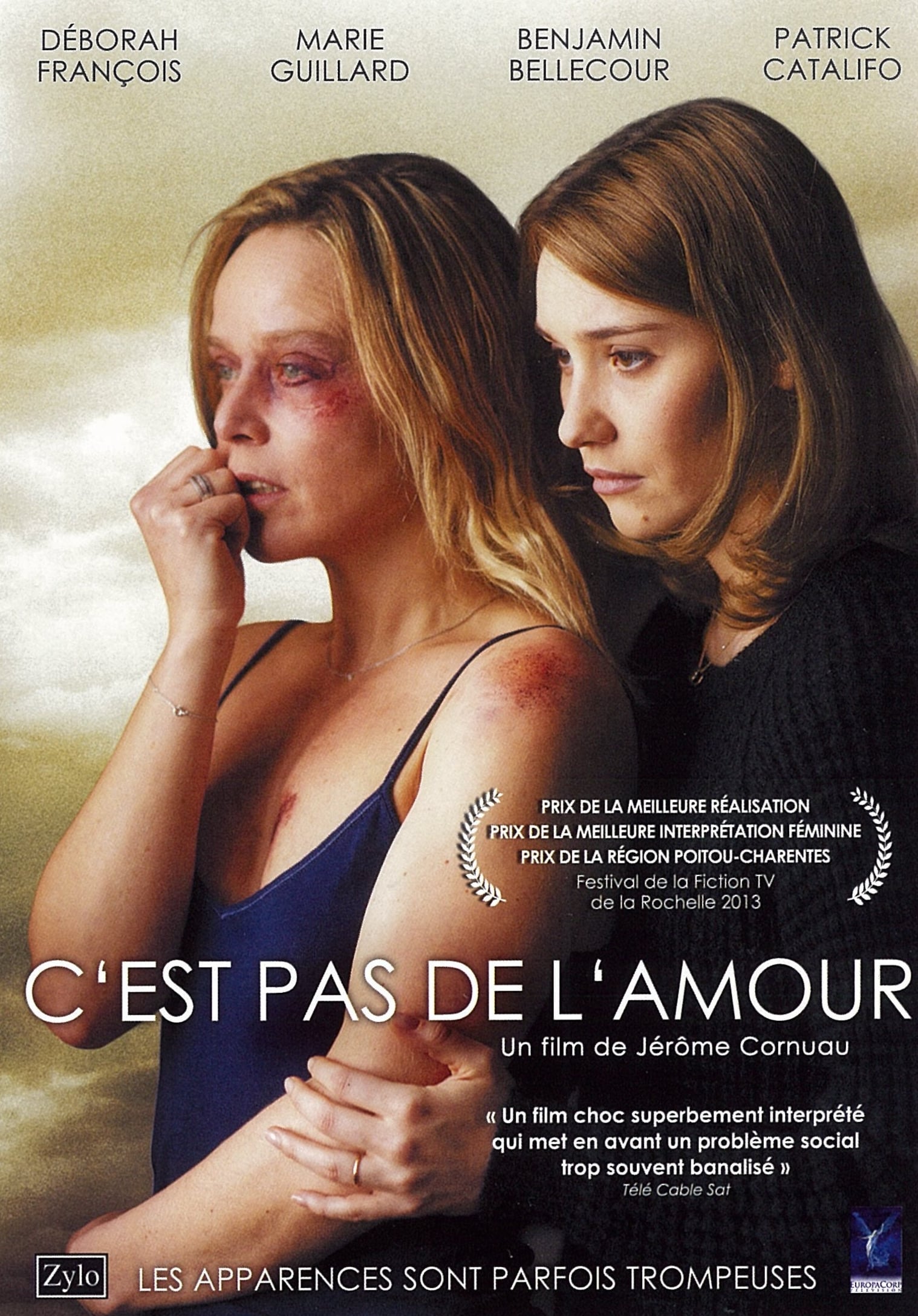 C'est pas de l'amour (2014)