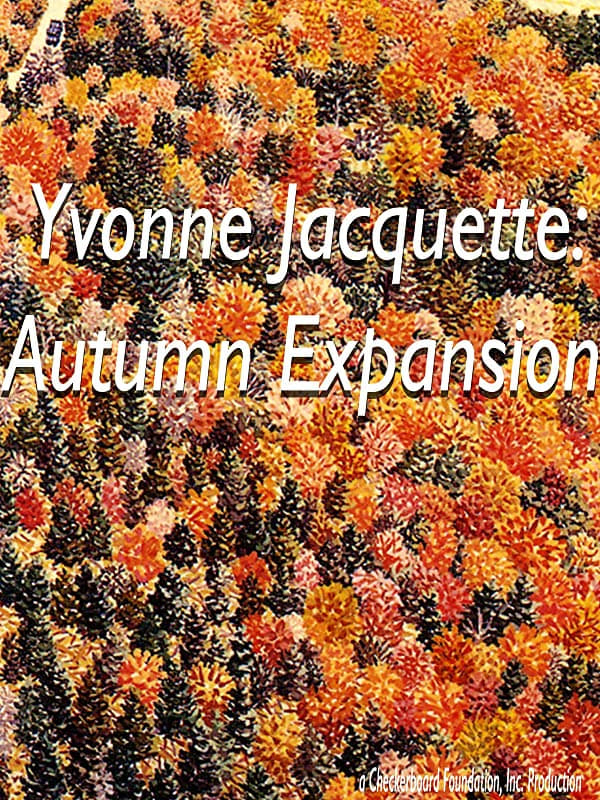 Yvonne Jacquette: Autumn Expansion