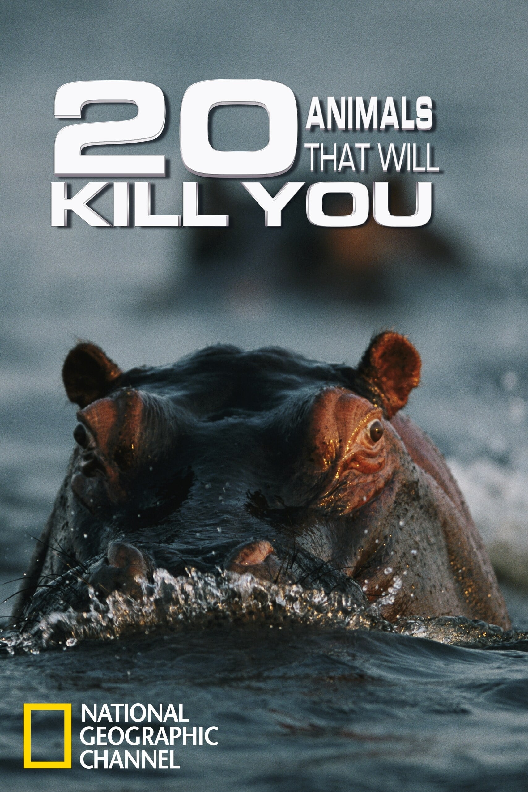 20 Animals That Will Kill You