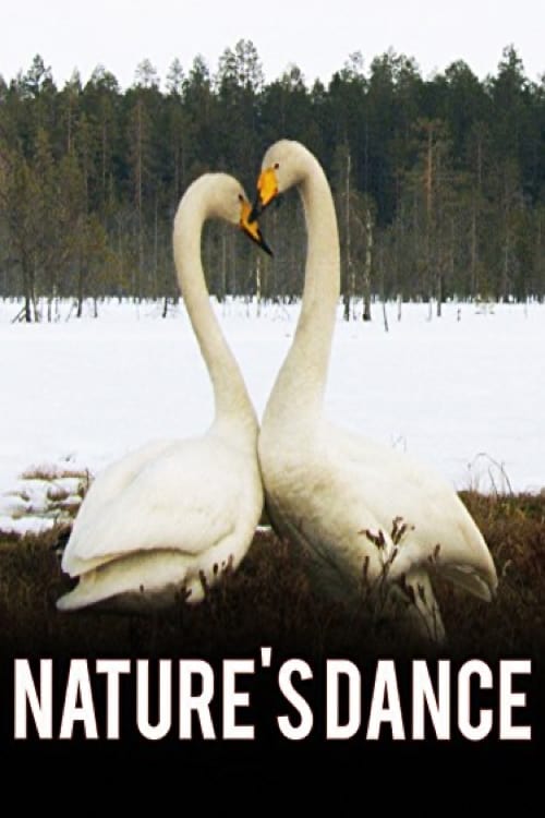 Nature's Dance (2008)