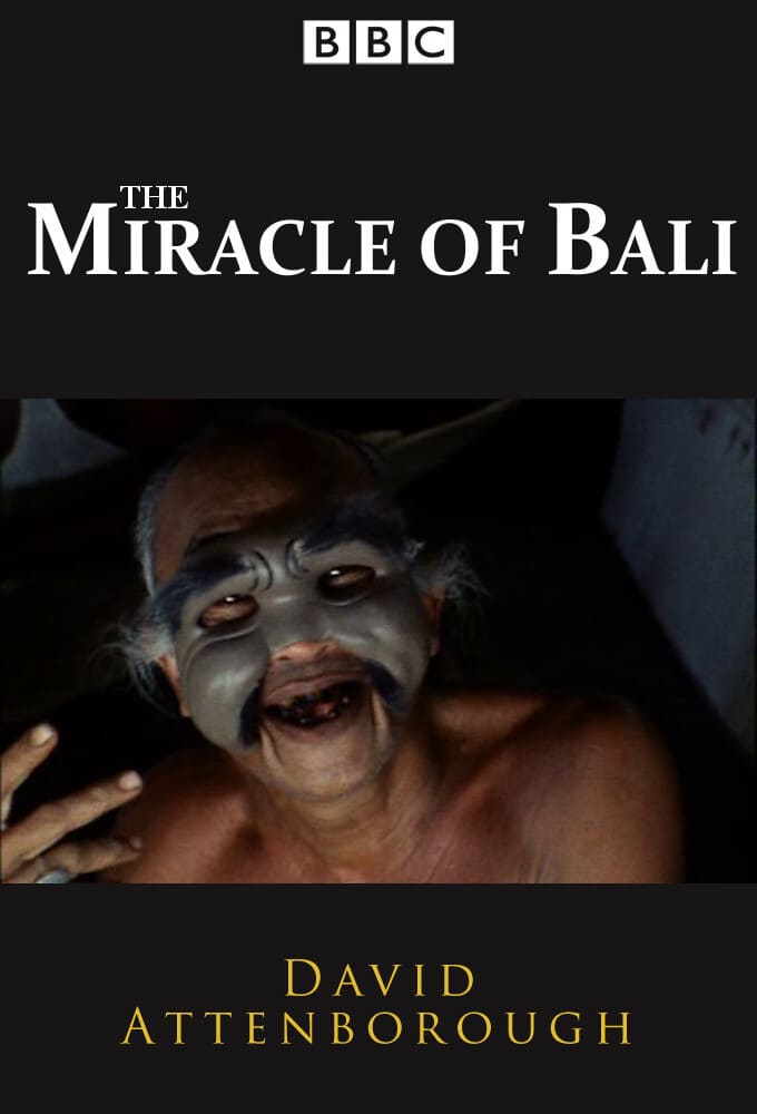 The Miracle of Bali