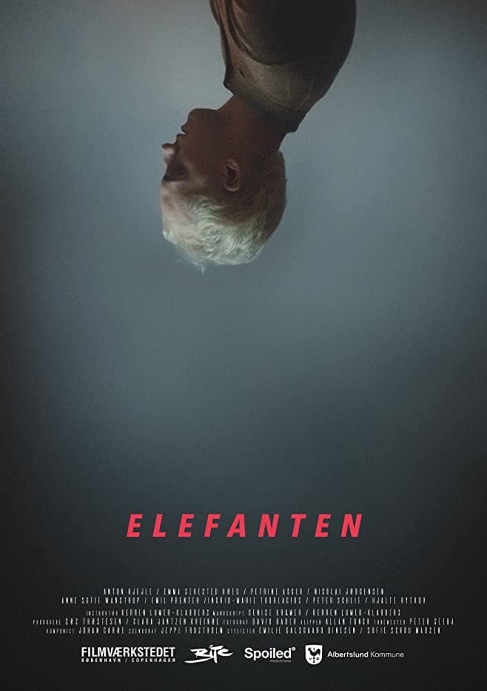 Elefanten