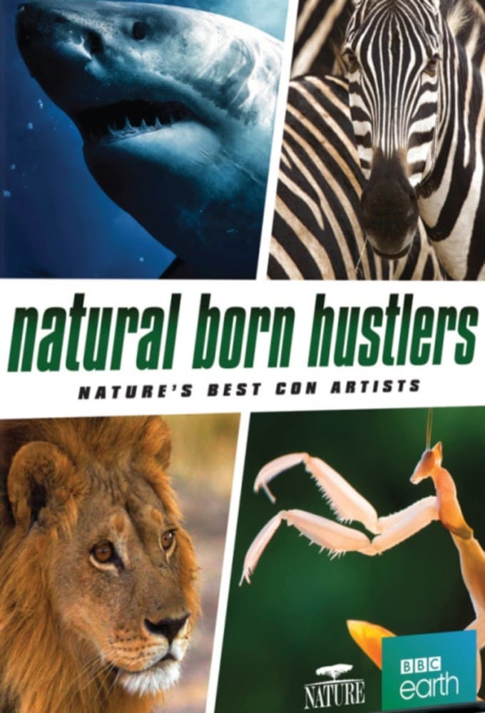 Natural Born Hustlers