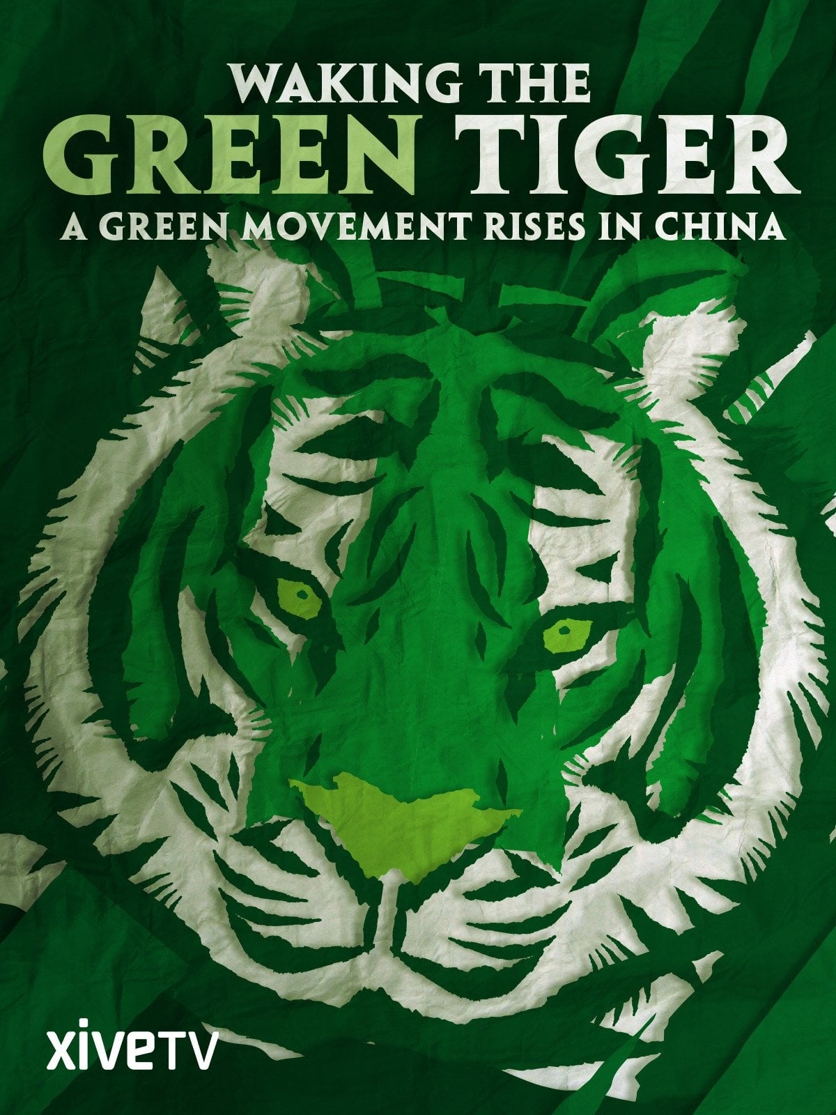 Waking the Green Tiger (2011)