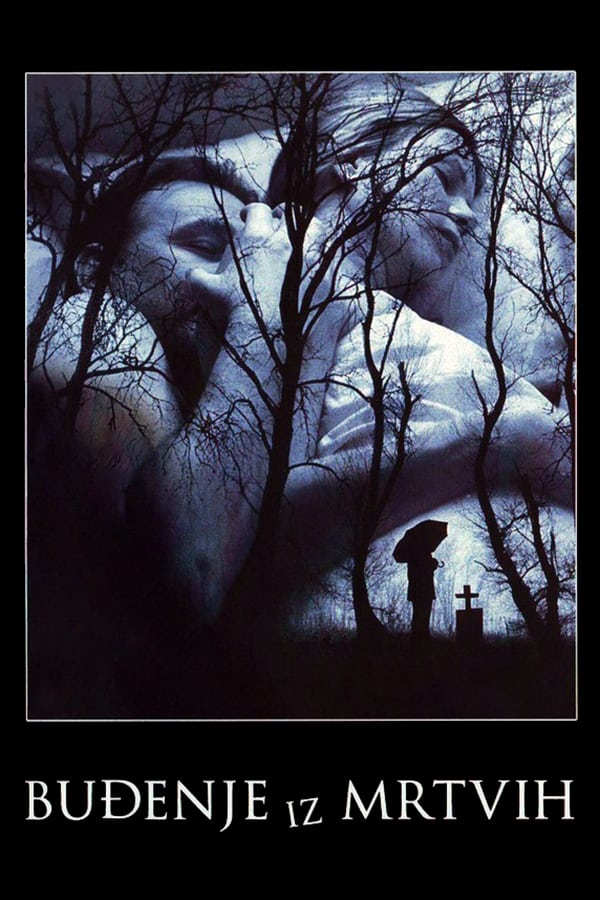 Awakening from the Dead (2005)