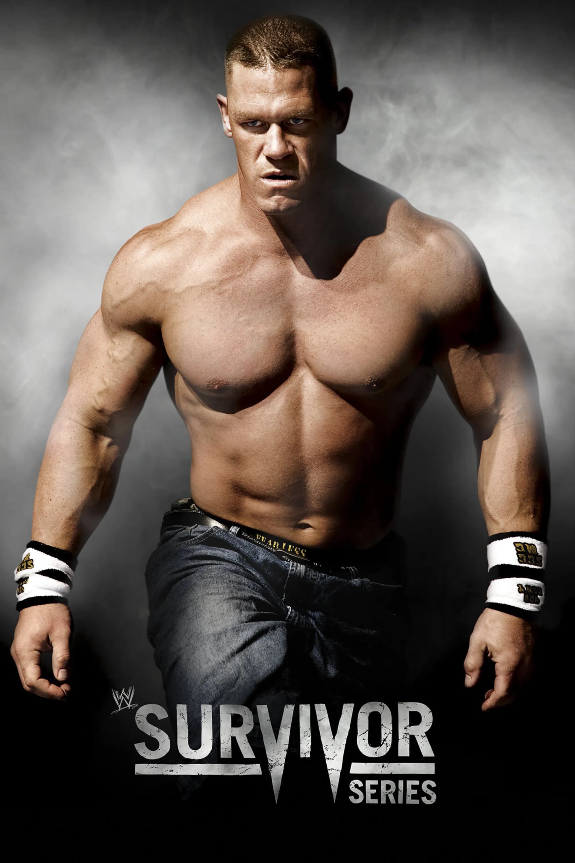 WWE Survivor Series 2008 (2008)