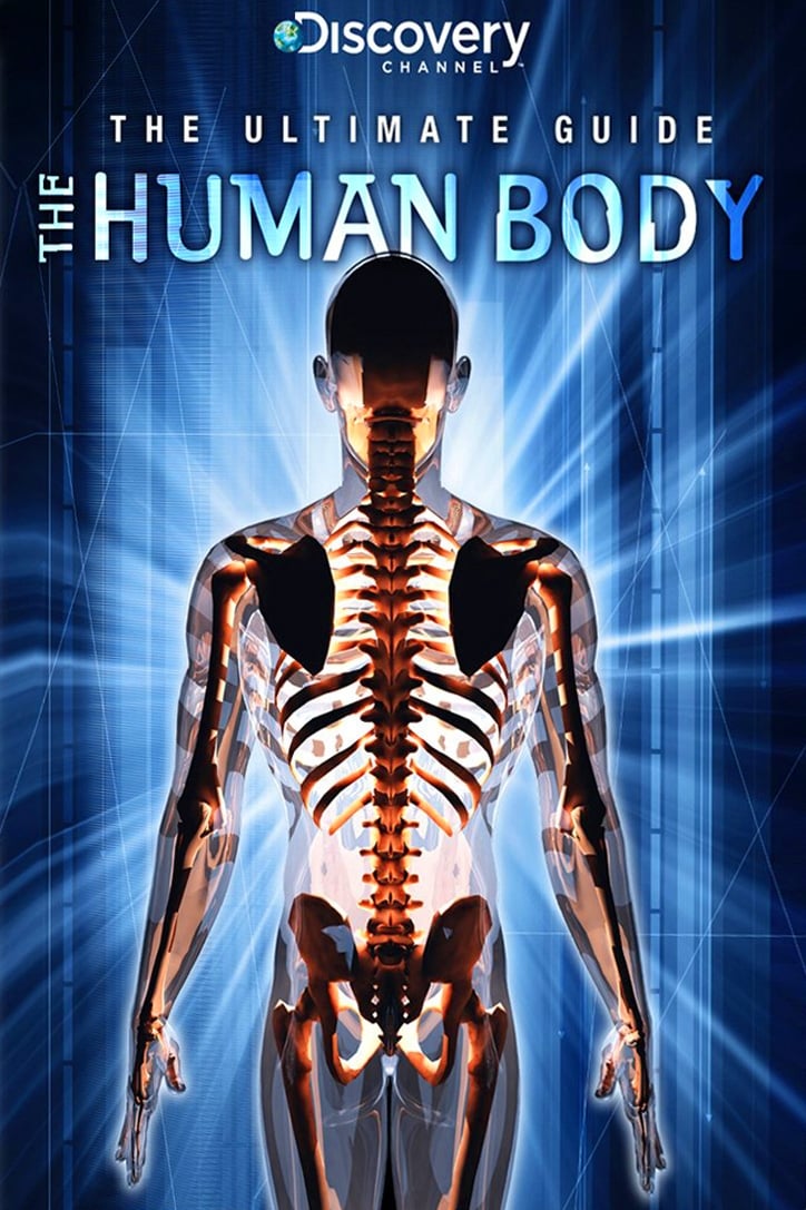 Ultimate Guide: The Human Body