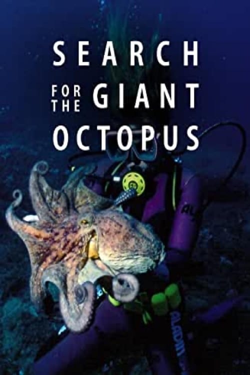 Search for the Giant Octopus