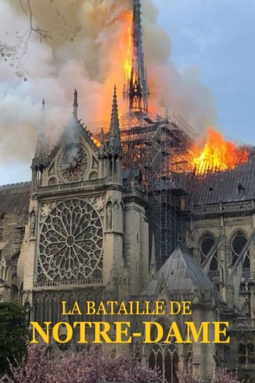 La bataille de Notre-Dame