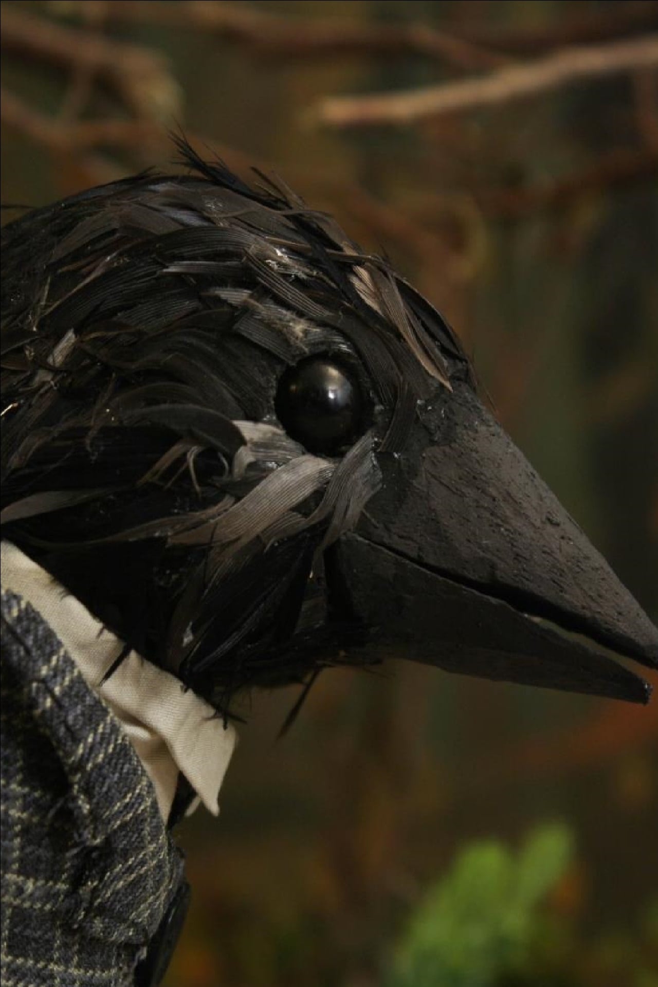 The Crow Who Wore A Suit And Worked In An Office