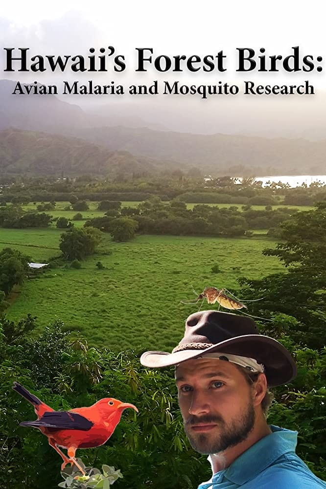 Hawaii's Forest Birds: Avian Malaria and Mosquito Research