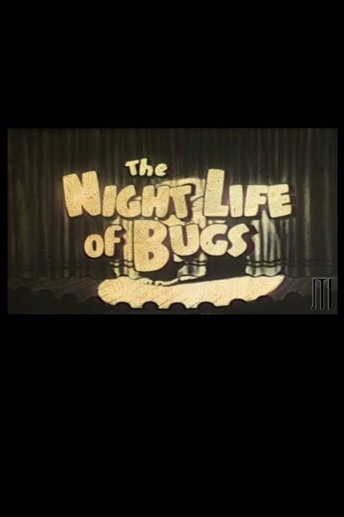 Night Life of the Bugs