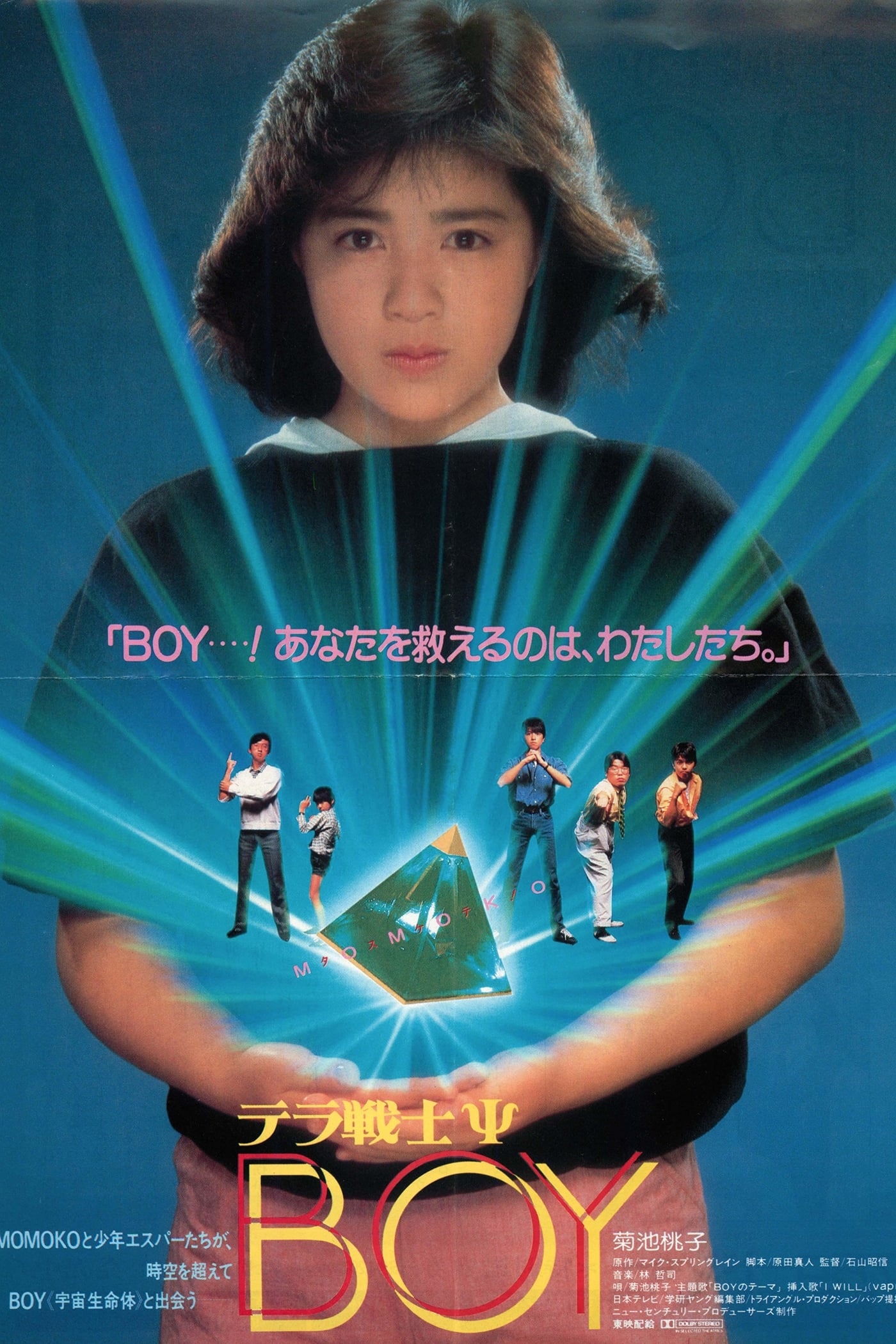 Terra Warrior Ps Boy 1985 Movie Where To Watch Streaming Online Plot
